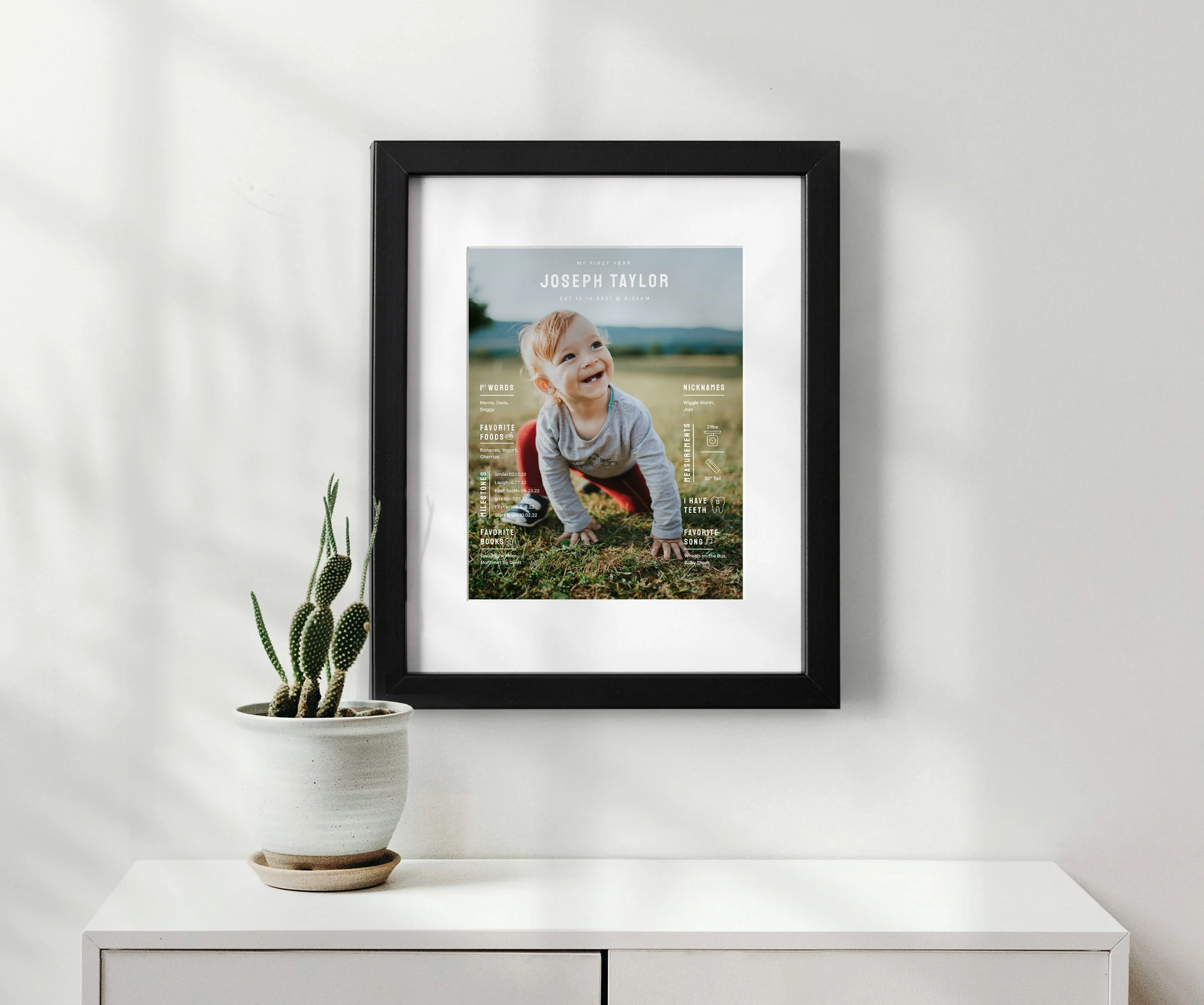 The Baby Collection - Image 4