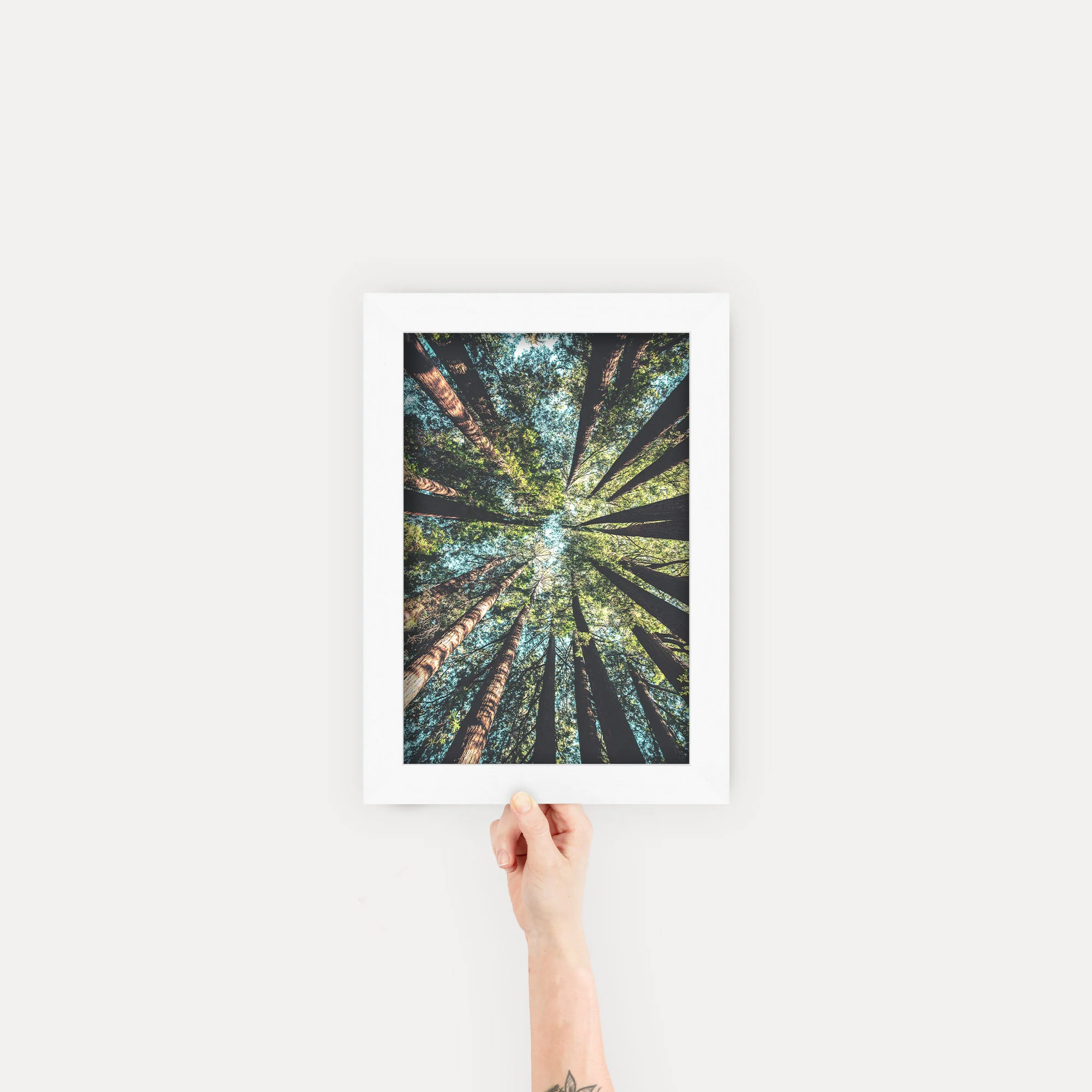 Gallery Frames - Image 33