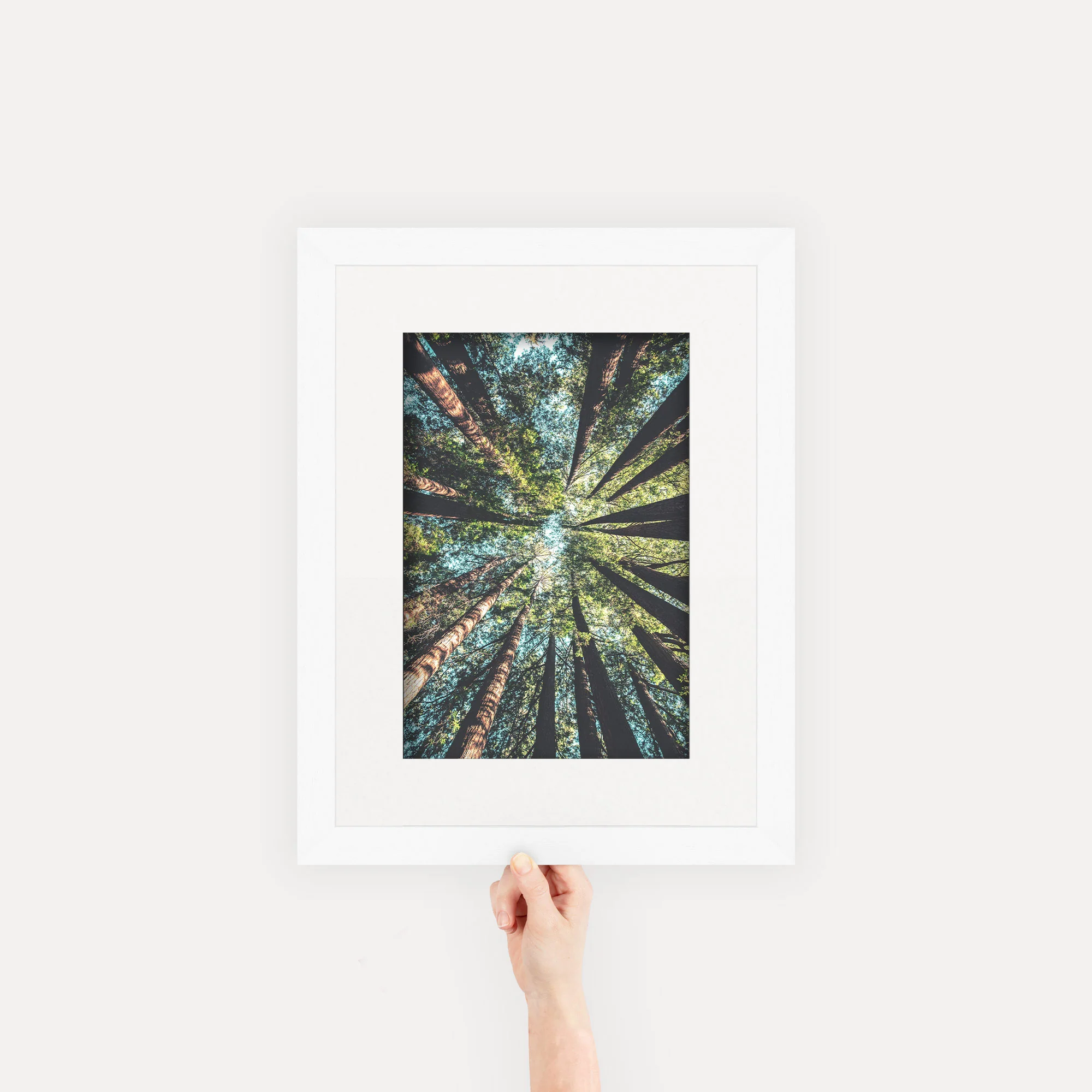 Gallery Frames - Image 34