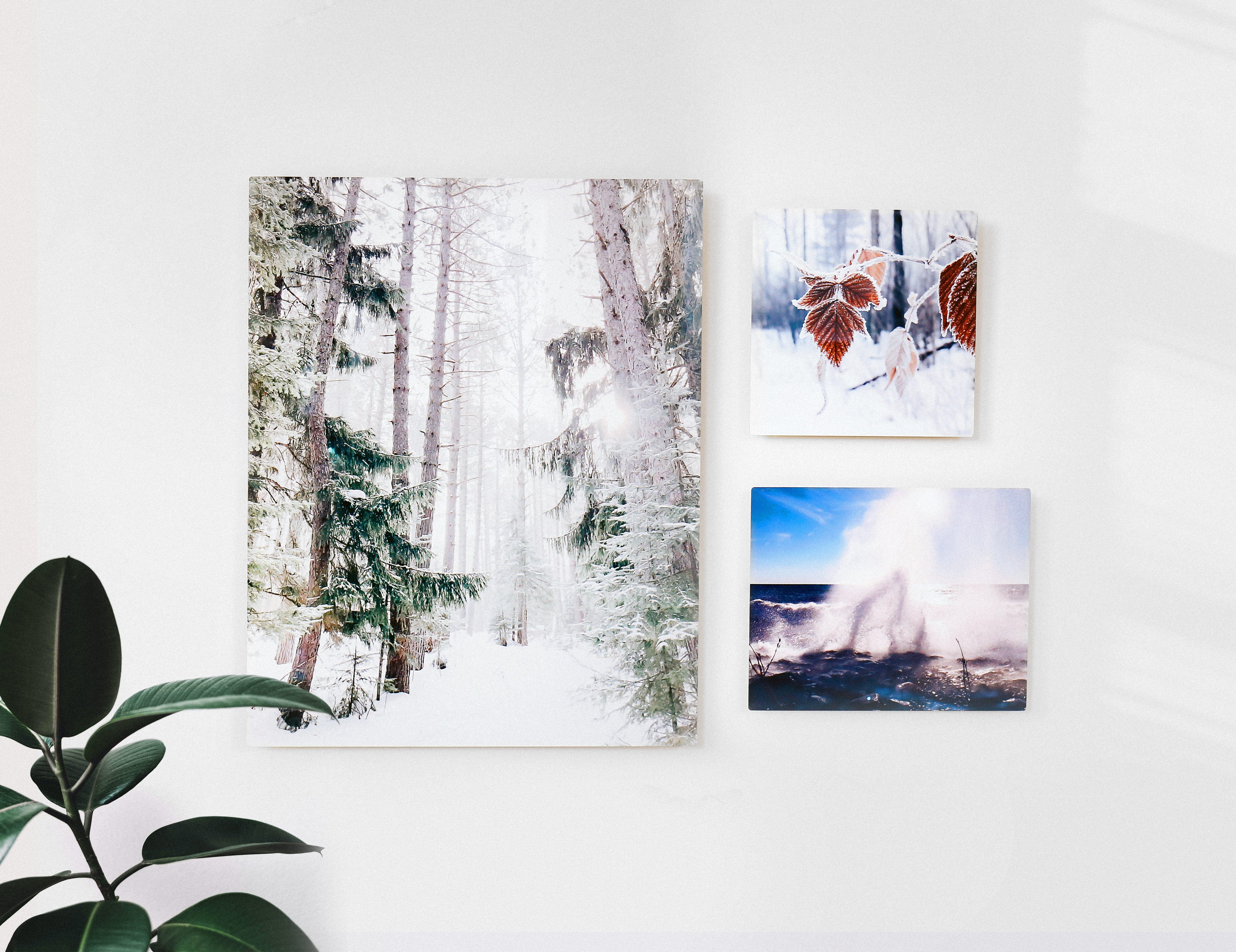 Metal Prints - Image 4