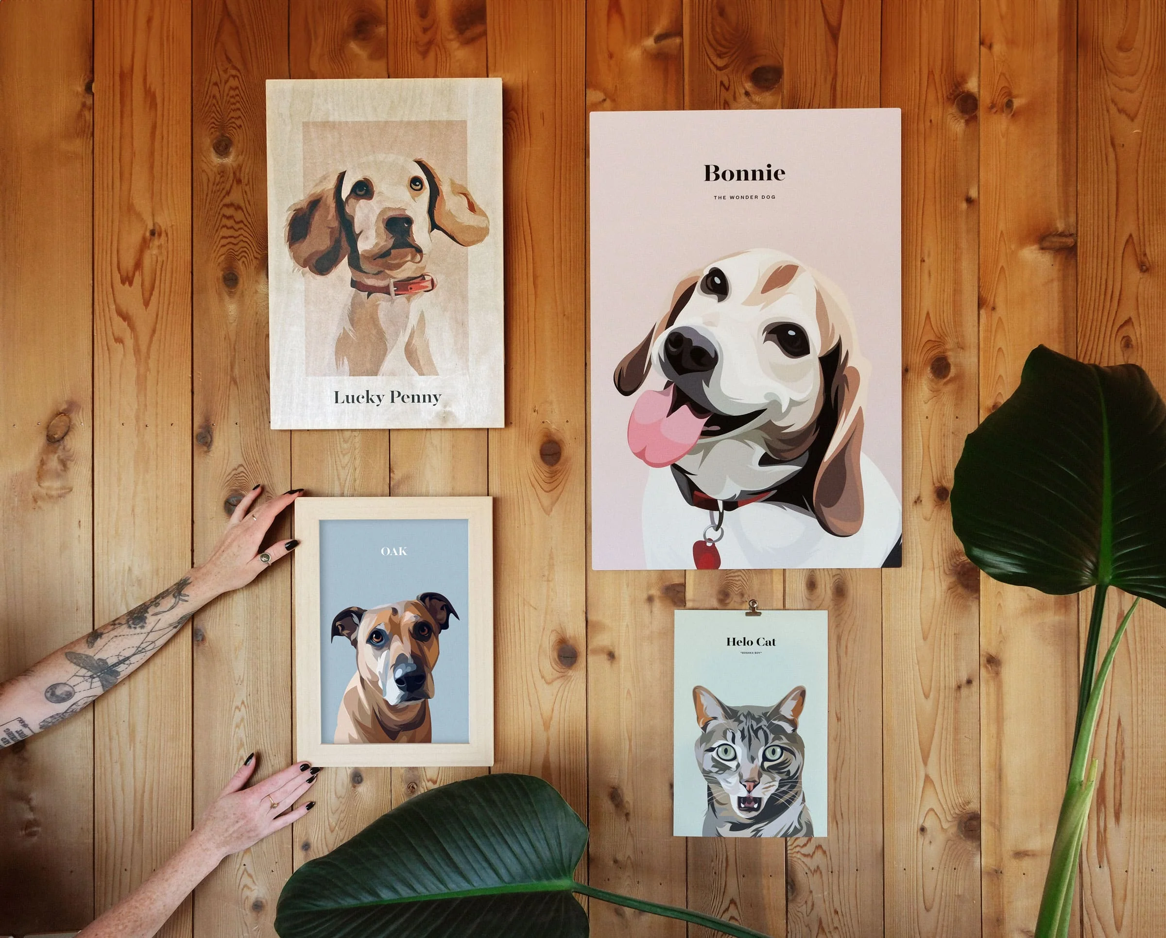 Pet Portrait - Image 5