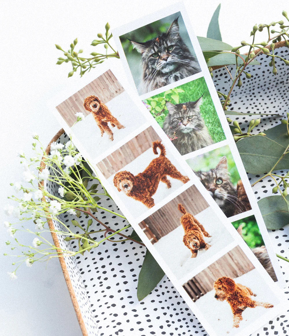 Photo Strips - Image 7