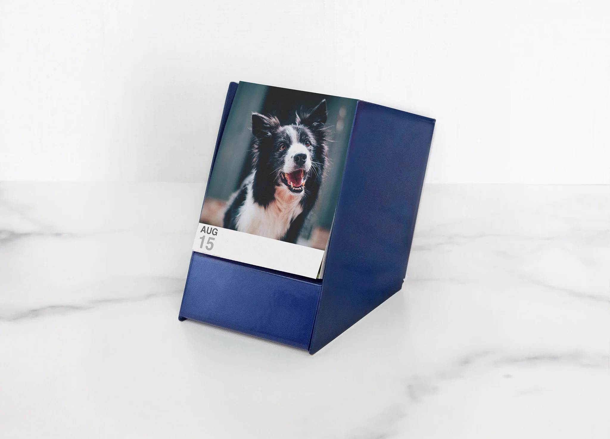 Signature Stand - Image 15
